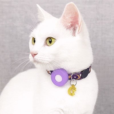 Collier GPS chat