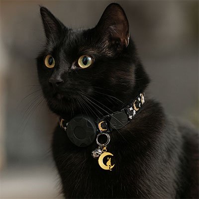 Collier GPS chat