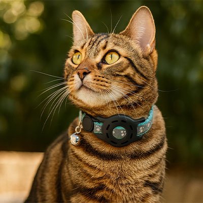 Collier GPS chat