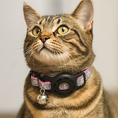 Collier GPS chat