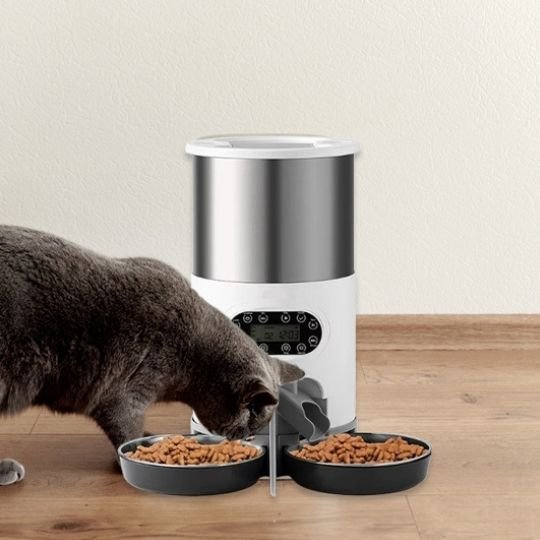 distributeur automatique croquettes chat
