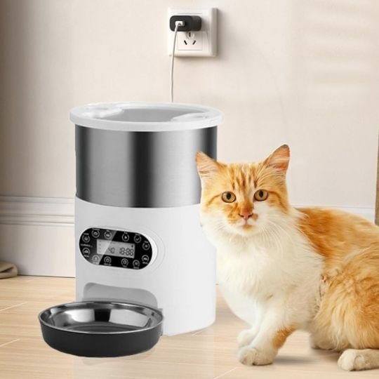 distributeur automatique croquettes chat