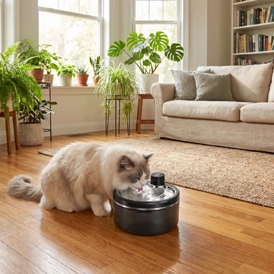 Fontaine à eau chat sans fil​